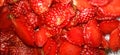 close up photo of sliced Ã¢â¬â¹Ã¢â¬â¹strawberry fruit